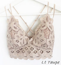 Willow Lace Bralette